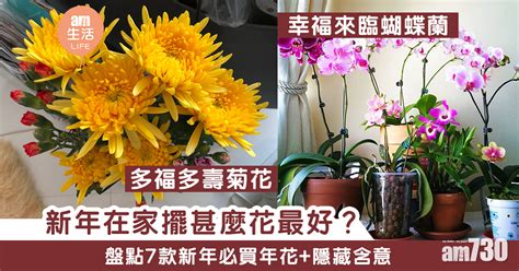 正所謂梅花入室擺一年，霉到賣屋又賣田|【盤點經典賀歲片】年初四咁嘅樣？即係咩樣呀！｜即 